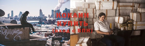 дживик Белоозёрский