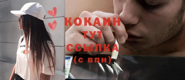 сатива Белокуриха